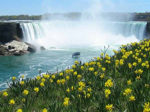 chutes niagara