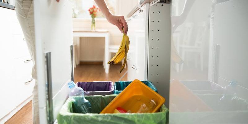 dechets organiques-compost