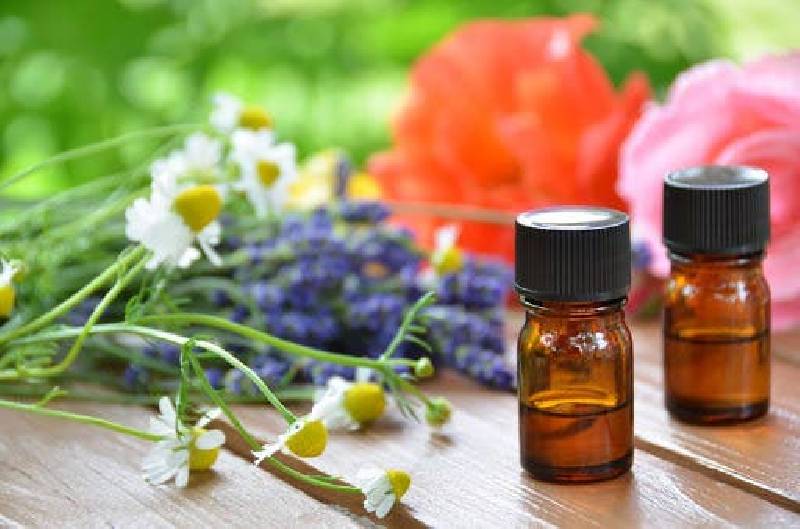 huiles essentielles anti-moustique